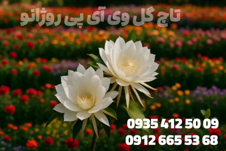 تصویر گل کمیاب کادوپول