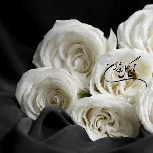 گلهای مناسب مراسم خاکسپاری در تابستان و زمستان