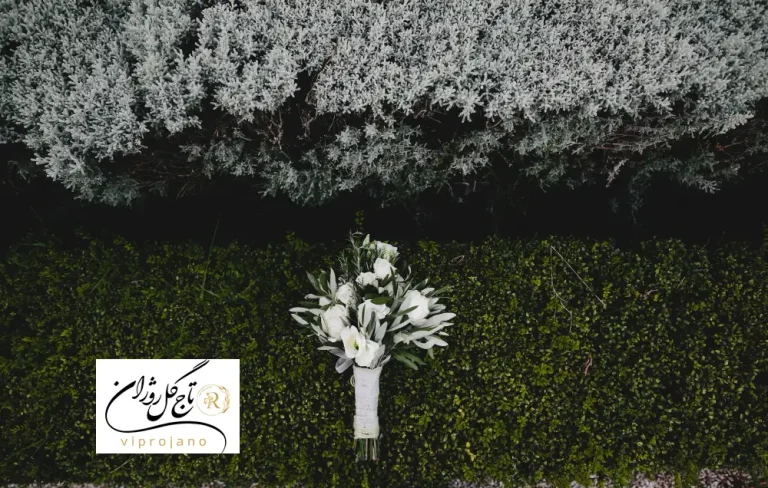 نگهداری گل روی قبر