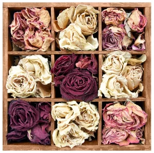 چگونه باکس گل را خشک کنیم