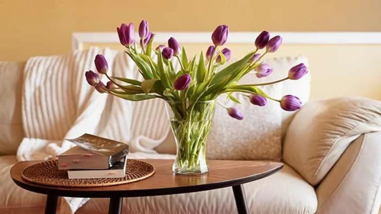 سبد گل کمحجم مناسب فضاهای کوچک