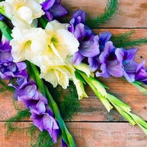 دسته گل گلایل برای تسلیت